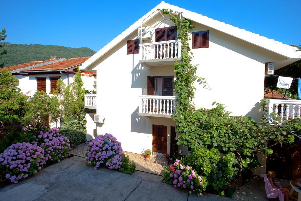 Apartments Ratkovic Tivat Værelse billede